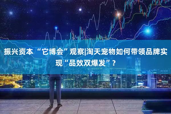 振兴资本 “它博会”观察|淘天宠物如何带领品牌实现“品效双爆发”？